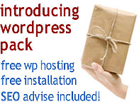 SEO Services & Free Wordpress Hosting
