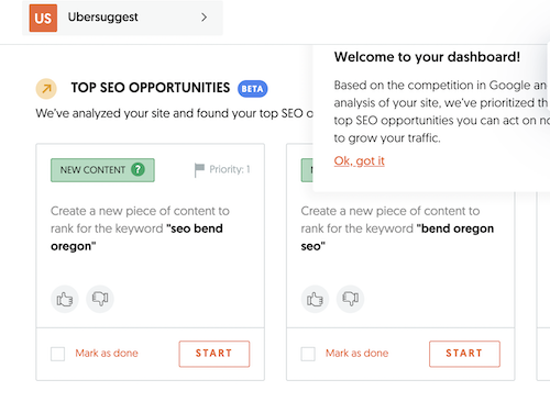 Uber Suggest SEO opportunities example